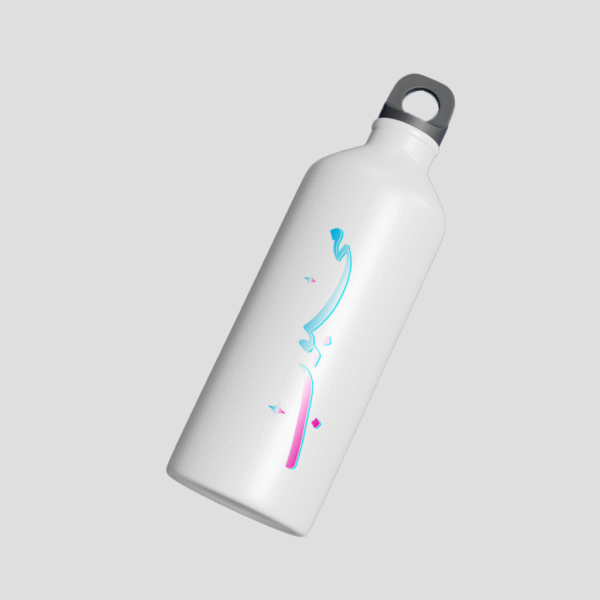 Mehboob Steel Bottle