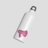 Deewana Steel Bottle