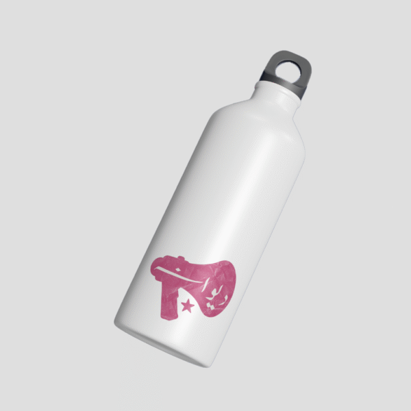 Deewana Steel Bottle